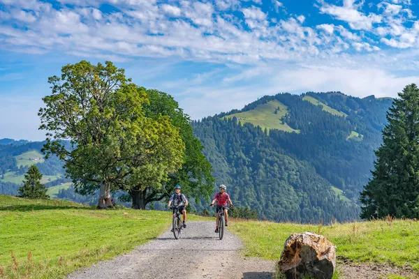 Mooie Bleef Jonge Grootmoeder Haar Kleinzoon Hun Electrische Mountainbikes Allgaeu — Stockfoto