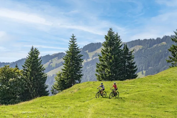 Nice Remained Young Grandmother Her Grandson Riding Electrc Mountain Bikes — Stock Photo, Image