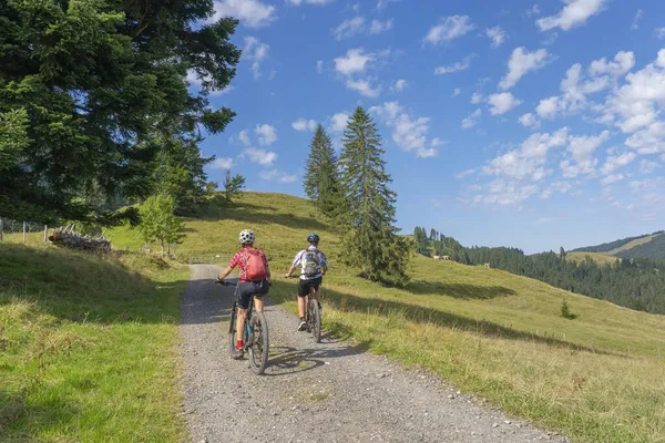 Agradable Mantuvo Joven Abuela Nieto Montar Sus Bicicletas Eléctricas Montaña — Foto de Stock