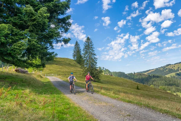德国巴伐利亚Oberstaufen附近的Allgaeu阿尔卑斯山 年轻的祖母和她的孙子骑着电动山地自行车 — 图库照片