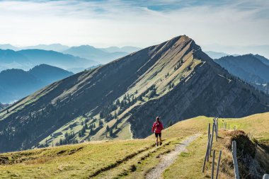 nice senior woman, hiking in fall, autumn  on the ridge of the Nagelfluh chain near Oberstaufen, Allgaeu Area, Bavaria, Germany, Hochgrats summit in the background clipart