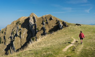 Güzel bir son sınıf öğrencisi, sonbaharda yürüyüş yapıyor, Oberstaufen yakınlarındaki Nagelfluh zincirinin tepesinde, Allgaeu Area, Bavyera, Almanya, arka planda Hochgrats zirvesi