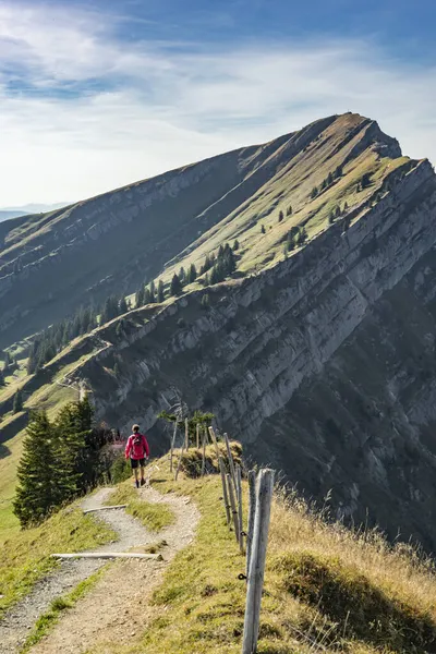 Mooie Oudere Vrouw Wandelen Herfst Herfst Bergkam Van Nagelfluh Keten — Stockfoto