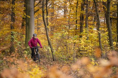 Stuttgart yakınlarındaki sonbahar ormanı patikalarında bisiklete binen hoş, son sınıf öğrencisi bir kadın. Güzel sıcak renkler, Baden-Wuerttemberg, Almanya.