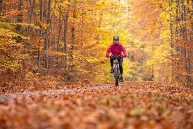 Stuttgart yakınlarındaki sonbahar ormanı patikalarında bisiklete binen hoş, son sınıf öğrencisi bir kadın. Güzel sıcak renkler, Baden-Wuerttemberg, Almanya.