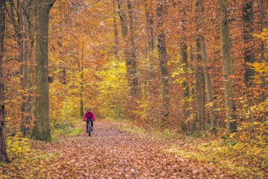 Stuttgart yakınlarındaki sonbahar ormanı patikalarında bisiklete binen hoş, son sınıf öğrencisi bir kadın. Güzel sıcak renkler, Baden-Wuerttemberg, Almanya.