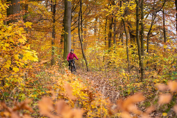 nice senior woman riding her mountainbike on the autumnal forest trails near Stuttgart, beautiful warm colors, Baden-Wuerttemberg, Germany