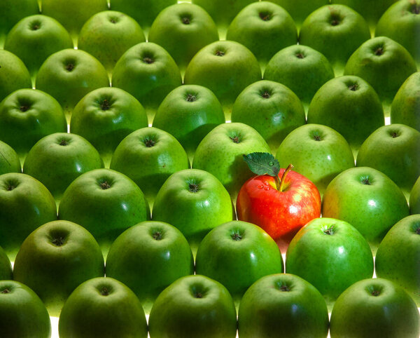 graphical arrangement of many green and one red apple