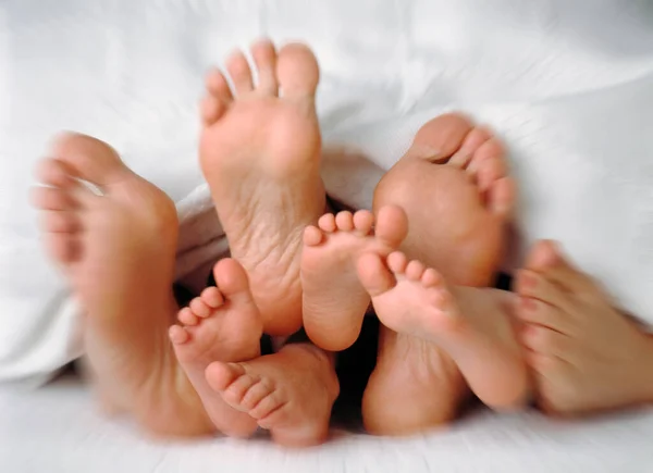 Funny Scene Feet Young Family White Blanket — Stock Photo, Image