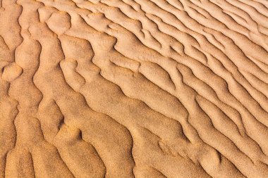 Namib Çölü 'ndeki kum tepecikleri Atlantik Okyanusu kıyısında, Güney Afrika, Namibya