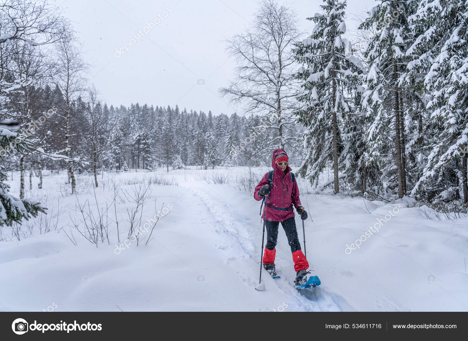 Nice Senior Woman Snowshoing Heavy Snow Fall Winterly Forest Moor