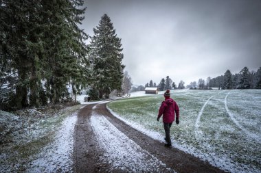  Allgaeu Alpleri, Bavyera, Almanya 'da kış ormanlarında yürüyen kişi