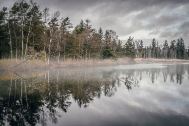Kasım ayında Allgau bölgesinde yükselen Wurzacher 'ın buzul kırlarında manzara, Baden-Wuerttemberg, Almanya 