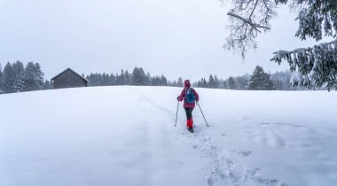  Avusturya 'nın Vorarlberg kentinin Bergenzer Wald bölgesinde kışın yağan bir orman ve bozkırda kar altında kalan son sınıf öğrencisi güzel bir kadın.
