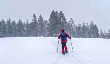  Avusturya 'nın Vorarlberg kentinin Bergenzer Wald bölgesinde kışın yağan bir orman ve bozkırda kar altında kalan son sınıf öğrencisi güzel bir kadın.