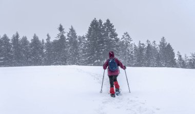  Avusturya 'nın Vorarlberg kentinin Bergenzer Wald bölgesinde kışın yağan bir orman ve bozkırda kar altında kalan son sınıf öğrencisi güzel bir kadın.