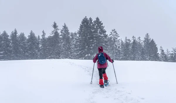 Nice Senior Woman Snowshoing Heavy Snow Fall Winterly Forest Moor — Fotografia de Stock