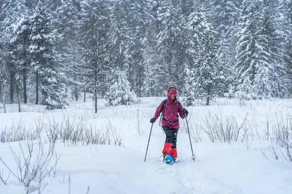 Agradable Mujer Mayor Raquetas Nieve Las Fuertes Nevadas Bosque Invernal —  Fotos de Stock