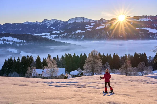 Almanya Oberstaufen Yakınlarındaki Allgaeu Alplerinde Kar Ayakkabısı Yürüyüşü Sırasında Nagelfluh — Stok fotoğraf