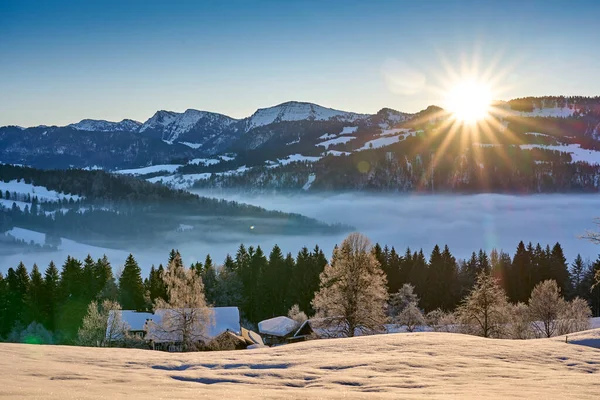 Panoramiczny Widok Zaśnieżony Łańcuch Górski Nagelfluh Alpach Allgaeu Krótki Wschód — Zdjęcie stockowe