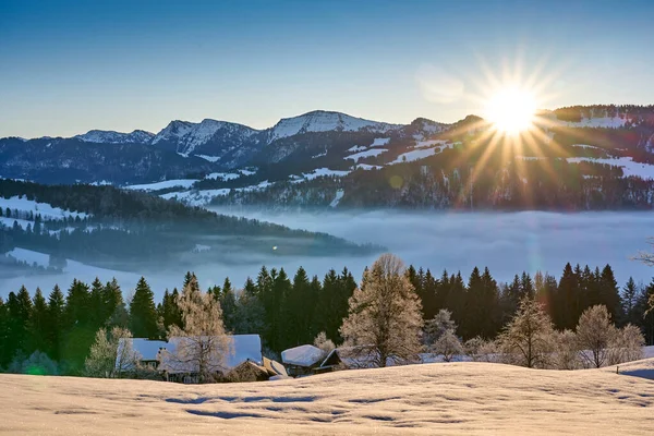     Allgaeu Alplerindeki karlı Nagelfluh dağ zincirinin panoramik görüntüsü Gündoğumu, manzara, Oberstaufen, Bavyera, Almanya                           