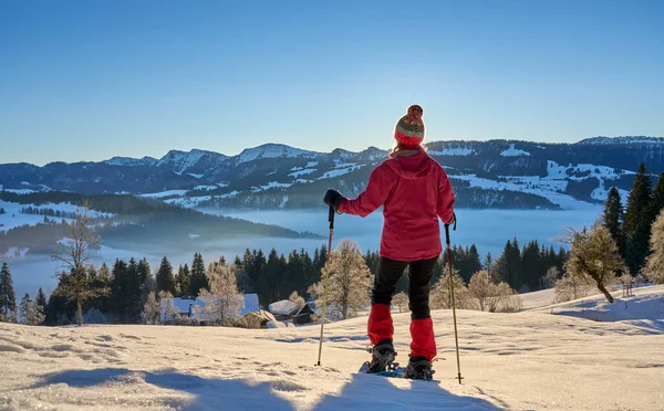 Nice Active Senior Woman Snowshoeing Allgau Alps Immenstadt Baviera Alemanha — Fotografia de Stock