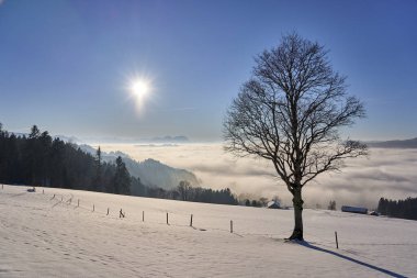   Avusturya 'nın Vorarlberg kentindeki Bregenzer Wald bölgesinde gün batımı. İsviçre' nin Saentis Dağı 'nın muhteşem manzarası.                              