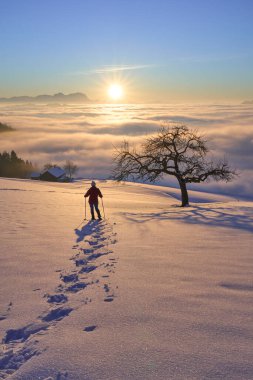  Avusturya, Vorarlberg 'in Bregenzer Wald bölgesinde gün batımında kar ayakkabısı giyen kadın İsviçre' nin Saentis Dağı 'nda muhteşem bir manzaraya sahip.                              