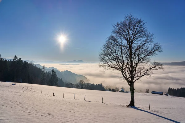 Puesta Sol Zona Bregenzer Wald Vorarlberg Austria Con Espectaculares Vistas —  Fotos de Stock