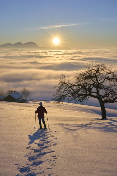 Woman Snowshoeing Sunset Bregenzer Wald Area Vorarlberg Αυστρία Καταπληκτική Θέα — Φωτογραφία Αρχείου