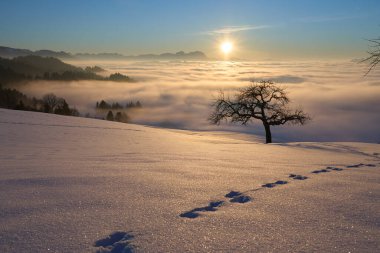   Avusturya 'nın Vorarlberg kentindeki Bregenzer Wald bölgesinde gün batımı. İsviçre' nin Saentis Dağı 'nın muhteşem manzarası.                              