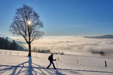  Avusturya, Vorarlberg 'in Bregenzer Wald bölgesinde gün batımında kar ayakkabısı giyen kadın İsviçre' nin Saentis Dağı 'nda muhteşem bir manzaraya sahip.                              