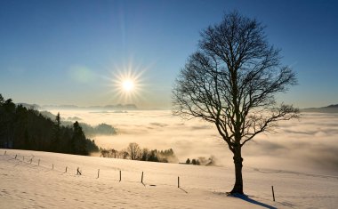   Avusturya 'nın Vorarlberg kentindeki Bregenzer Wald bölgesinde gün batımı. İsviçre' nin Saentis Dağı 'nın muhteşem manzarası.                              