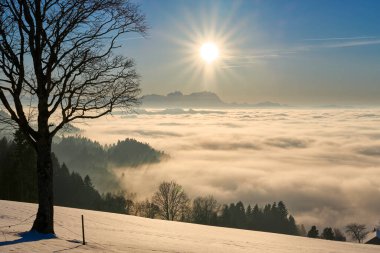  Avusturya 'nın Vorarlberg kentindeki Bregenzer Wald bölgesinde gün batımı. İsviçre' nin Saentis Dağı 'nın muhteşem manzarası.                              