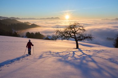  Avusturya, Vorarlberg 'in Bregenzer Wald bölgesinde gün batımında kar ayakkabısı giyen kadın İsviçre' nin Saentis Dağı 'nda muhteşem bir manzaraya sahip.                              