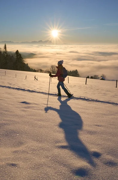 Woman Snowshoeing Sunset Bregenzer Wald Area Vorarlberg Austria Spectacular View — Stock Photo, Image