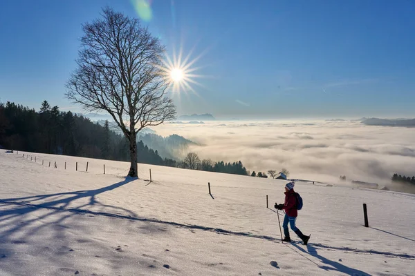 Vrouw Sneeuwschoenwandelen Bij Zonsondergang Het Bregenzer Wald Gebied Van Vorarlberg — Stockfoto