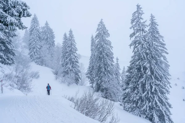 Nice Senior Woman Snowshoeing Nagelfluh Chain Sea Fog Bregenz Wald — Stock Photo, Image