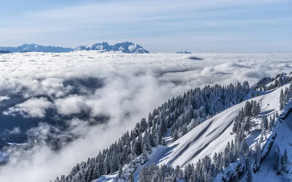 Allgaeu Dağları 'ndaki kış manzarası, Hochgrat zirvesinden Bregenz Wald dağlarına, Vorarlberg, Avusturya manzara fotoğrafçılığına kadar.