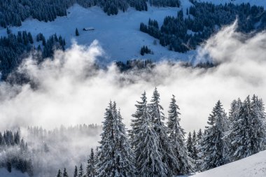 Allgaeu Dağları 'ndaki kış manzarası, Hochgrat zirvesinden Bregenz Wald dağlarına, Vorarlberg, Avusturya manzara fotoğrafçılığına kadar.