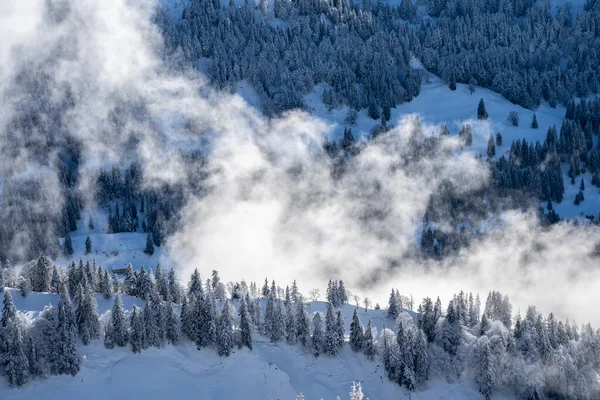 Winterlandschaft Allgäu Blick Vom Hochgrat Über Ein Nebelmeer Auf Den — Stockfoto