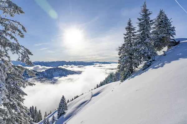 Krajobraz Zimowy Górach Allgaeu Widok Szczytu Hochgratu Nad Morzem Mgły — Zdjęcie stockowe