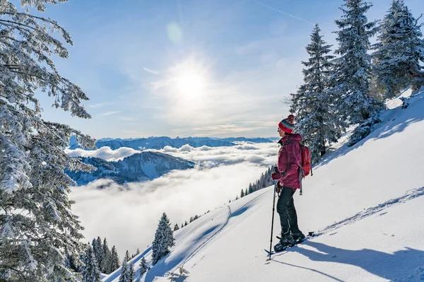 Nice Senior Woman Snowshoeing Nagelfluh Chain Sea Fog Bregenz Wald — Fotografia de Stock