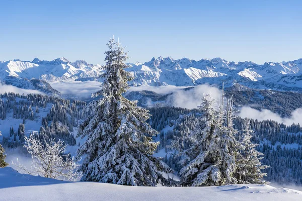 Allgaeu Dağları Ndaki Kış Manzarası Hochgrat Zirvesinden Bregenz Wald Dağlarına — Stok fotoğraf