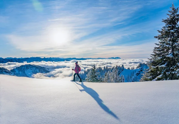 Nice Senior Woman Snowshoeing Nagelfluh Chain Sea Fog Bregenz Wald — Fotografia de Stock