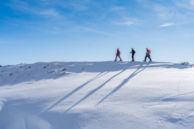 Avusturya 'nın Vorarlberg kentindeki Bezau köyünün yukarısındaki Bregenz wald dağlarında kar ayakkabısı giyen 3 kıdemli yetişkin grubu.