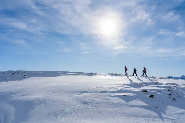 Grupo Adultos Idosos Snowshoeing Nas Montanhas Wald Bregenz Acima Aldeia — Fotografia de Stock