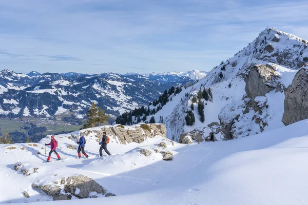 Groep Van Senior Volwassenen Sneeuwschoenwandelen Het Bregenz Wald Gebergte Boven — Stockfoto