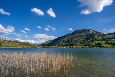 İlkbaharın başlarında Alpsee Gölü 'ndeki sakin manzara Immenstadt, Bavyera, Almanya yakınlarındaki Allgaeu dağlarında