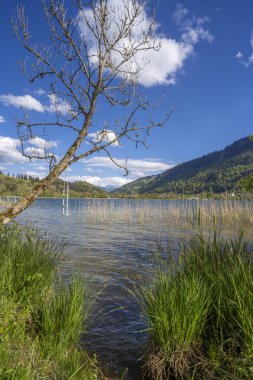 İlkbaharın başlarında Alpsee Gölü 'ndeki sakin manzara Immenstadt, Bavyera, Almanya yakınlarındaki Allgaeu dağlarında